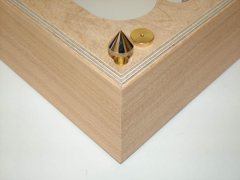 TD124 Rüster-Ulme-gestreift 07